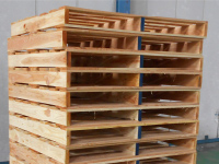 片面使用形〈Ｄ型〉